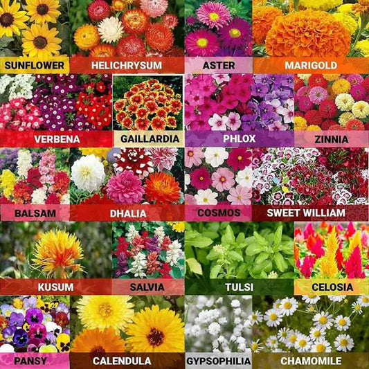 JamKart's Garden Delight: 100 Premium Flower Seed Mix + Free Plant Growth Enhancer